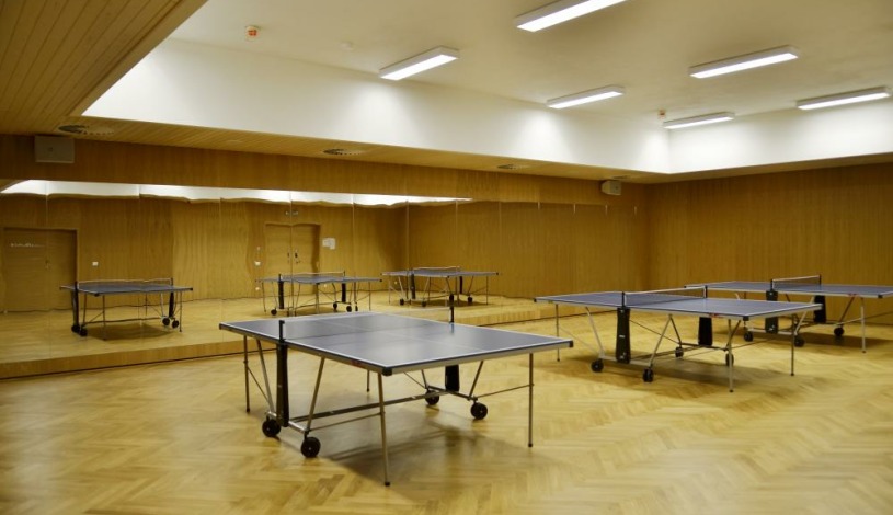 Wellness hotel Vista Dolní Morava